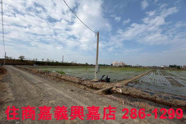 嘉義農地-5