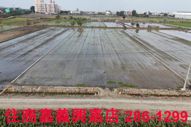 嘉義農地-7