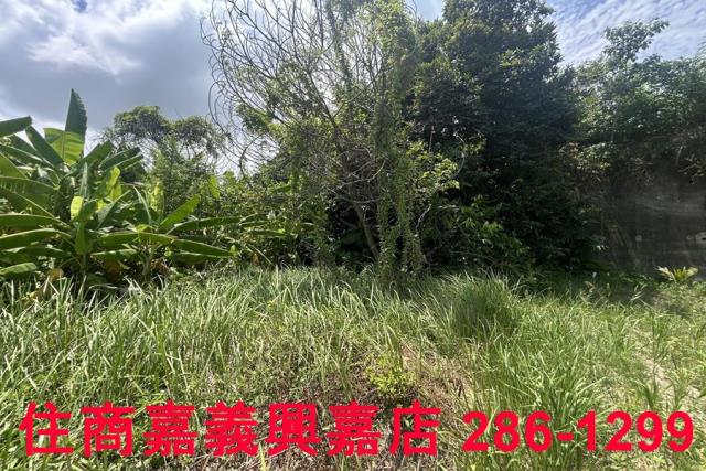 嘉義農地-10