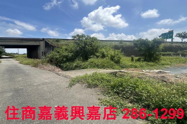嘉義農地-1