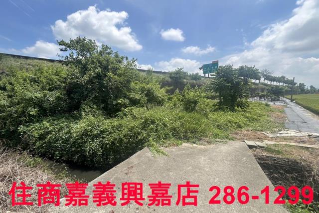 嘉義農地-2