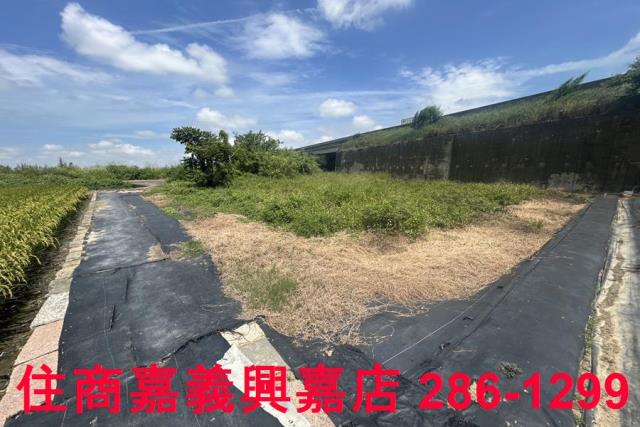 嘉義農地-3