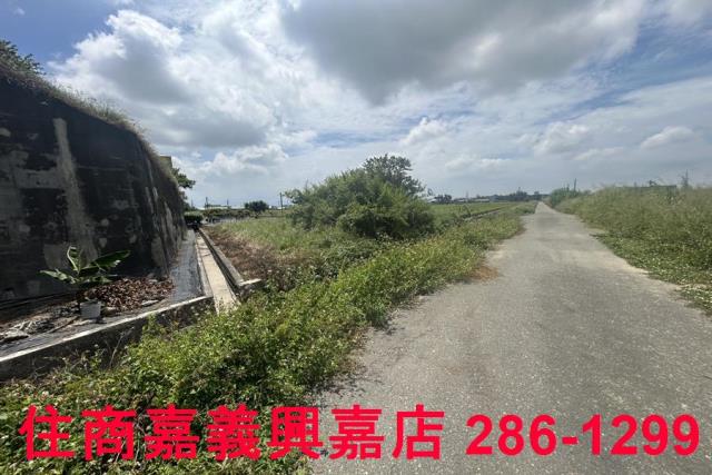 嘉義農地-5