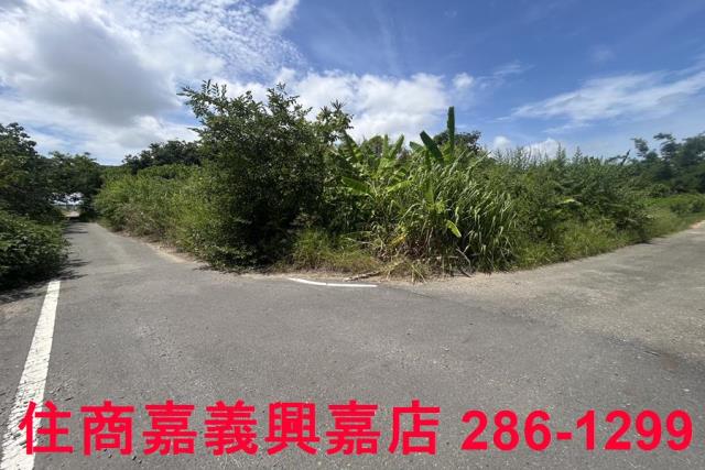 嘉義農地-6