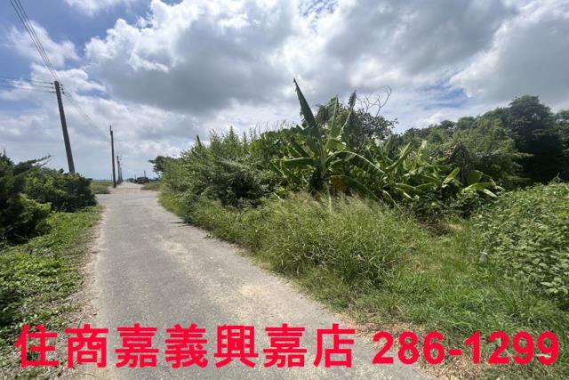 嘉義農地-7