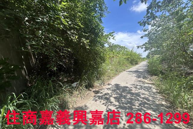 嘉義農地-8