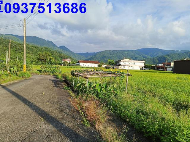 員山農地-9
