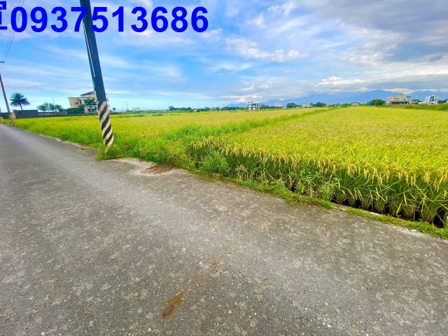 宜蘭農地-9