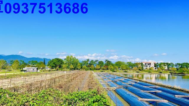 宜蘭三星農地-14