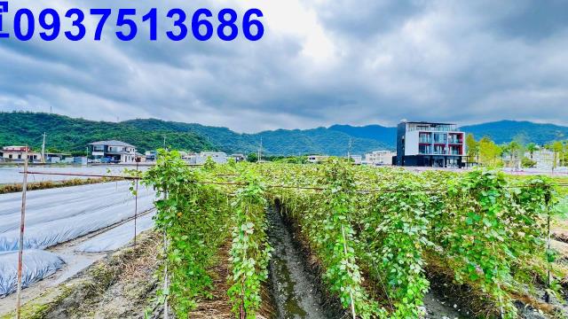 宜蘭三星農地-4