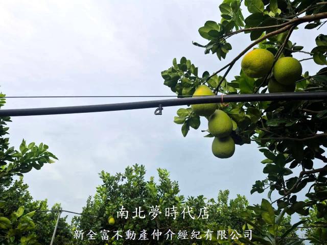 下營農地-7