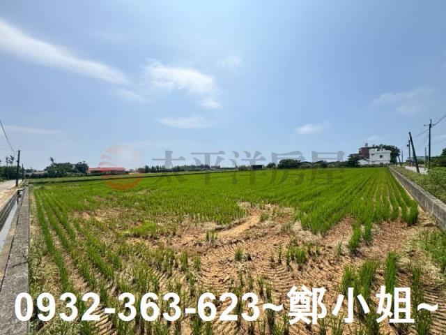新屋農地-13