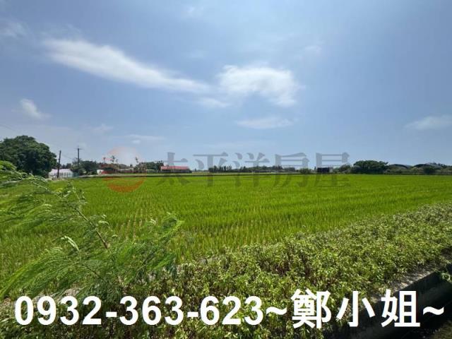 新屋農地-15