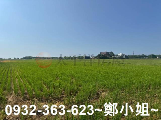 新屋農地-8