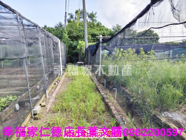 南區農地-14