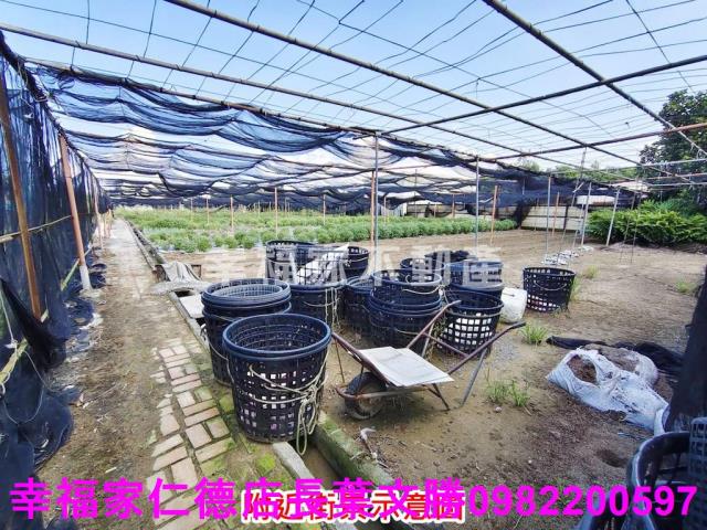 南區農地-3