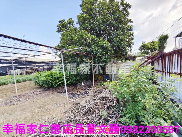 南區農地-4