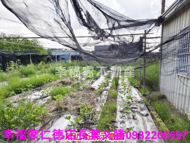 南區農地-7