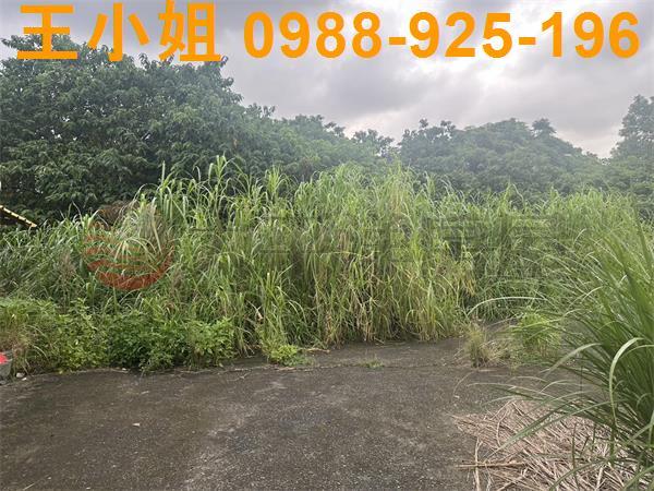 桃園建地-1