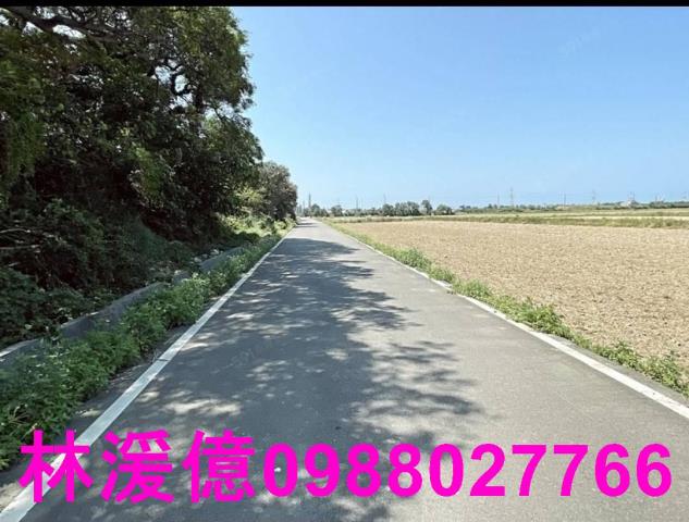 桃園觀音農地-3