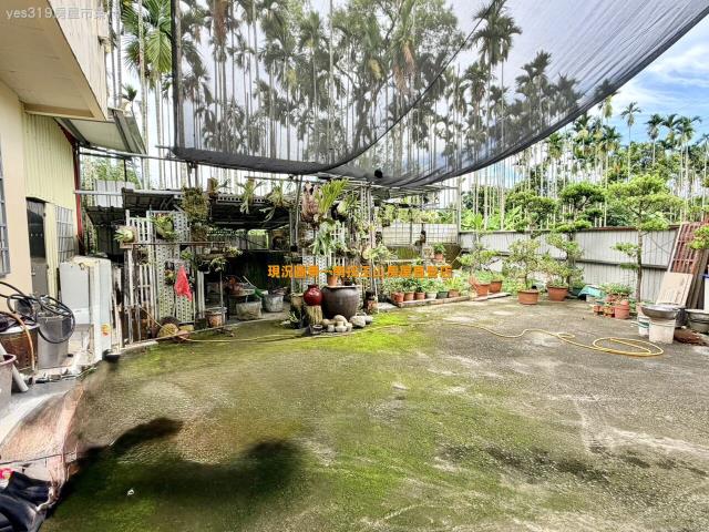 南投中寮農地-6