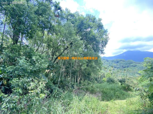 集集農地-2