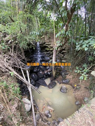 中寮農地-5