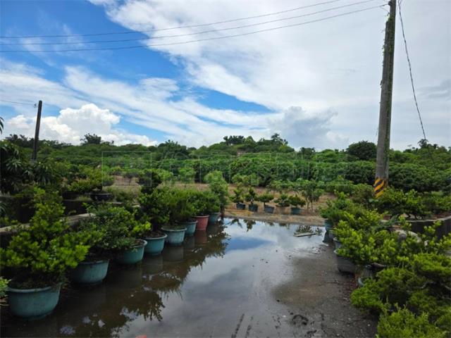 大樹農地-1