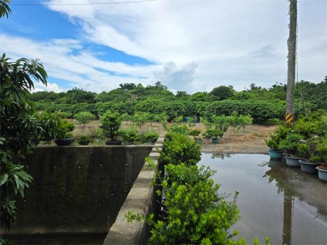 大樹農地-2
