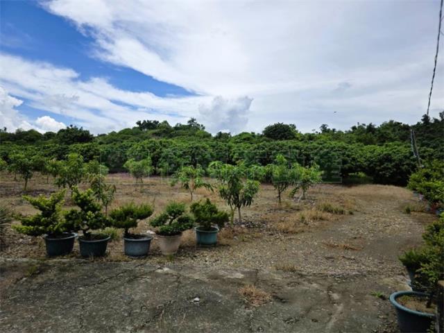 大樹農地-8
