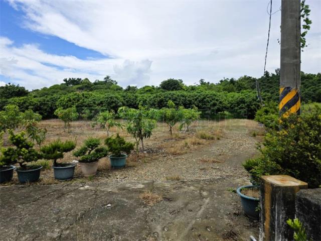 大樹農地-9
