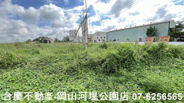 燕巢農地-1
