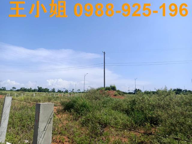 桃園建地-11