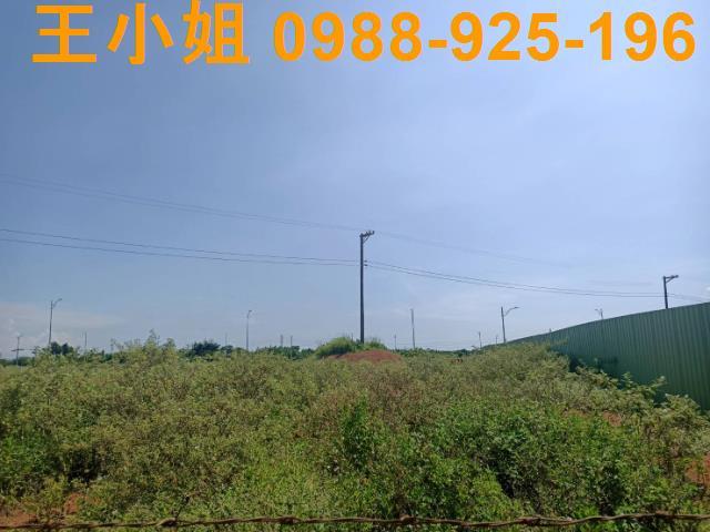 桃園建地-15