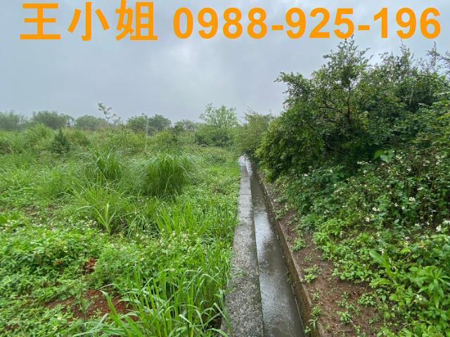 桃園農地-4