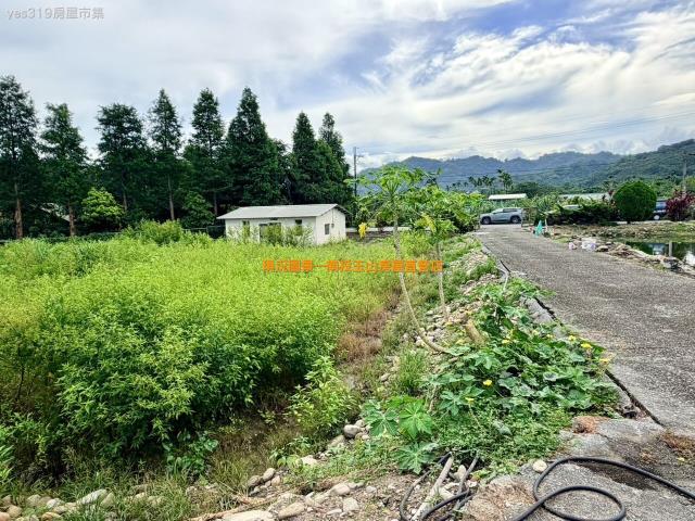 南投名間農地-4