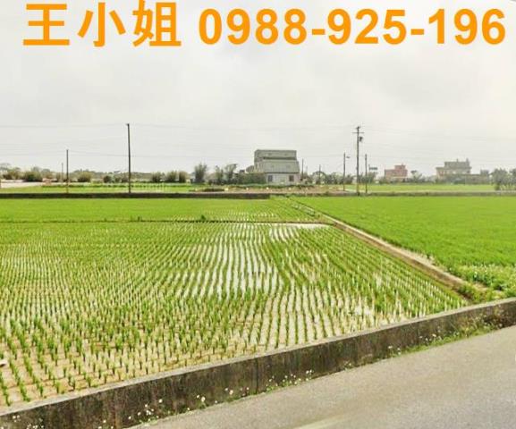 桃園新屋農地-5