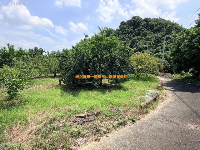 南投中寮農地-11