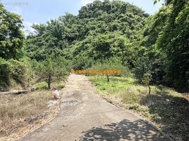 南投中寮農地-12