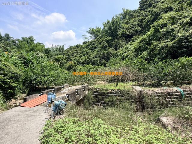 南投中寮農地-9