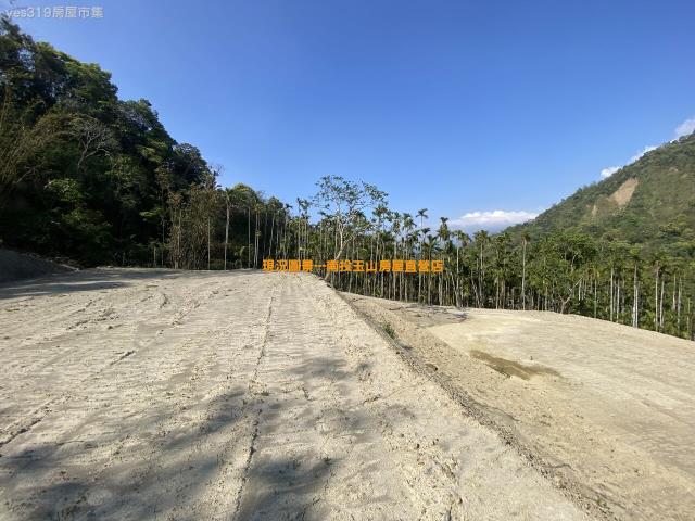 南投竹山農地-2