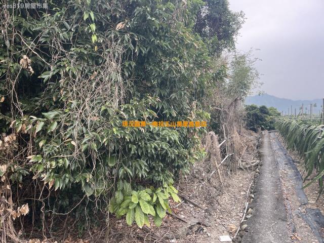 集集農地-3