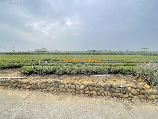 名間農地-3