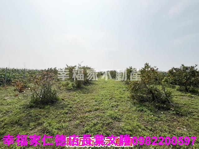 鹽水農地-5
