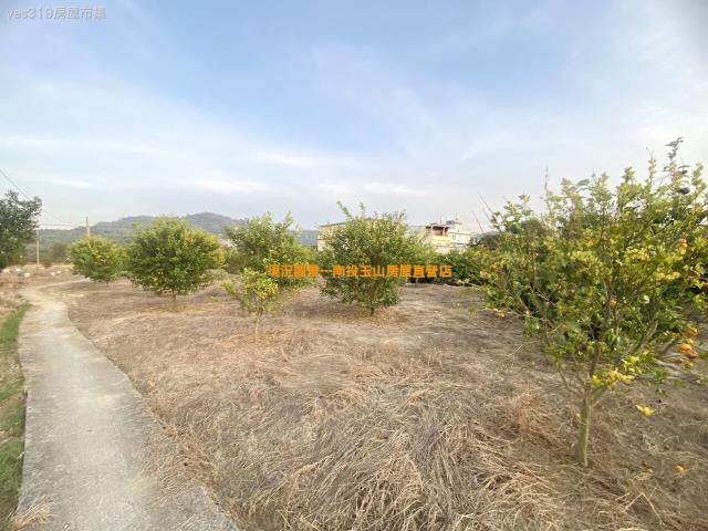 名間農地-4