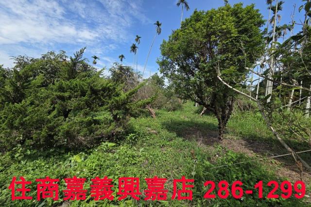 番路農地-14