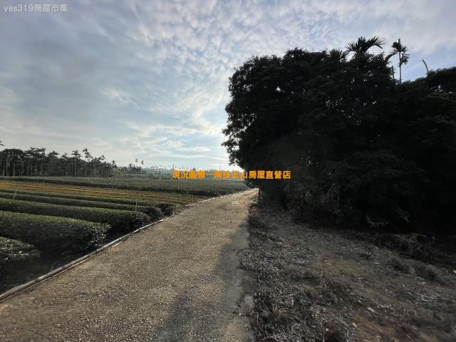 名間農地-1