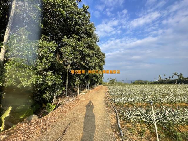名間農地-4