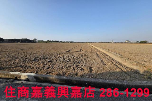 大林農地-10