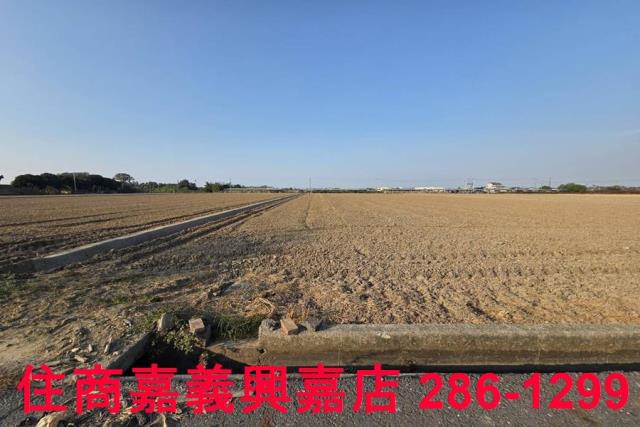 大林農地-13